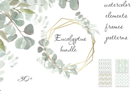 Download Big Watercolor Eucalyptus Png Set - Set Collection