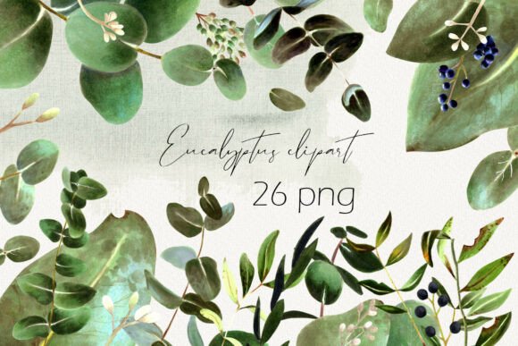 Download Eucalyptus Leaves PNG Elements Set - Set Collection